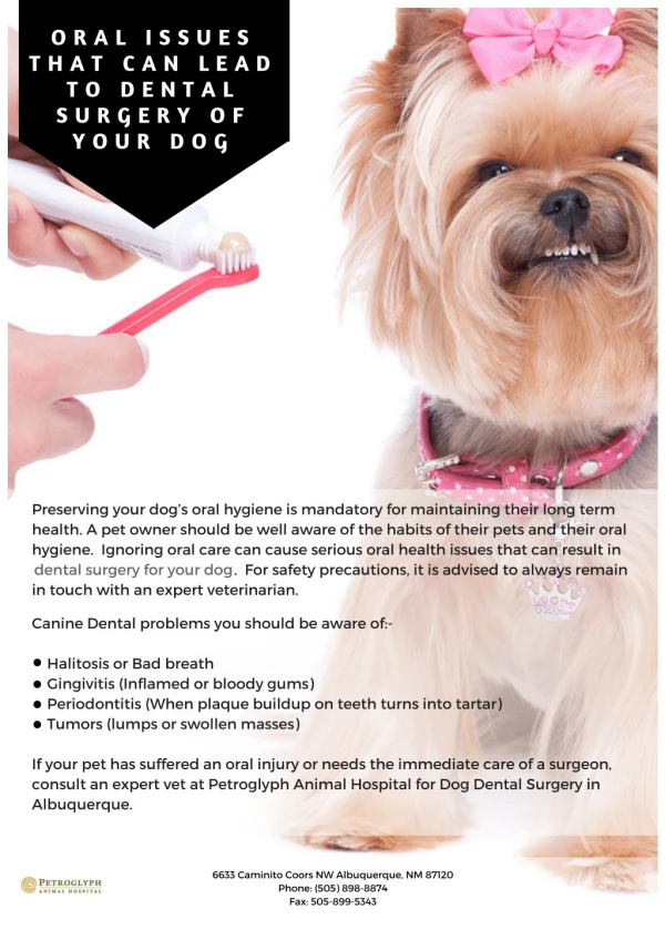 Oral Issues that Can Lead to Dental Surgery of Your Dog