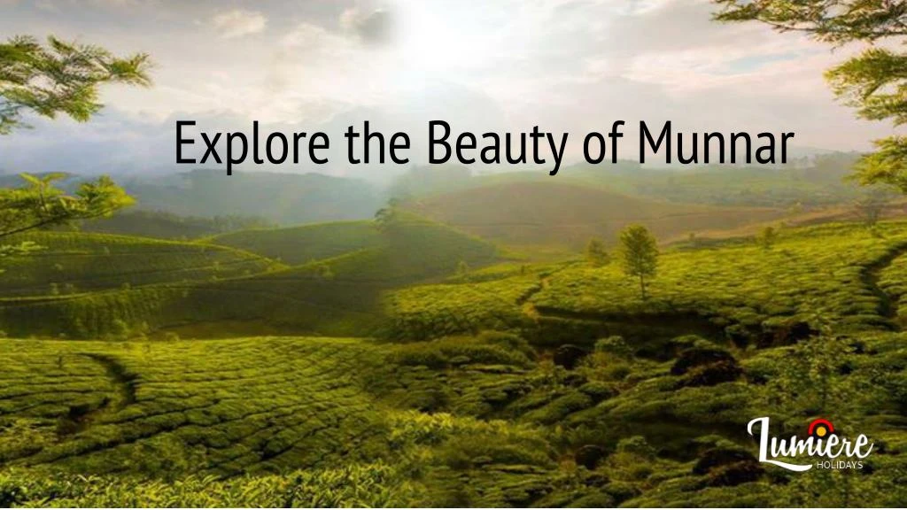 explore the beauty of munnar