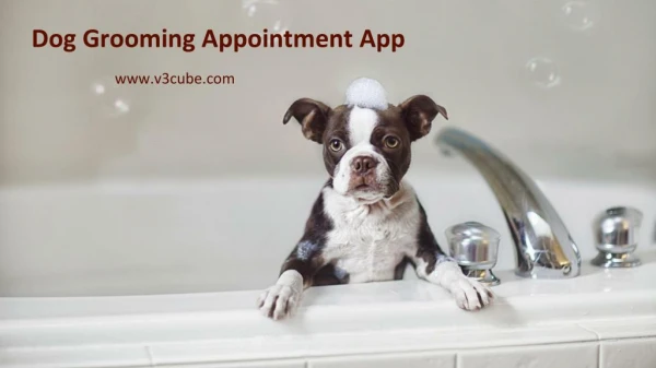 On Demand Dog Grooming Appointment App