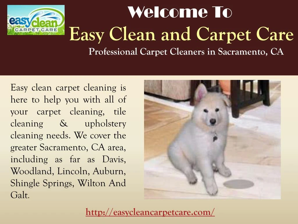 welcome to easy clean and carpet care