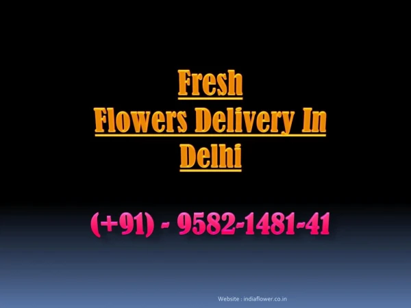 Fresh Flowers Delivery In Delhi | 9582-1481-41