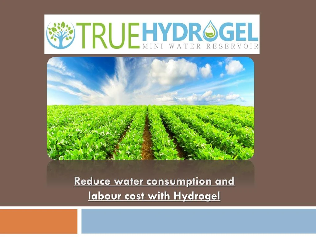 reduce water consumption and labour cost with hydrogel