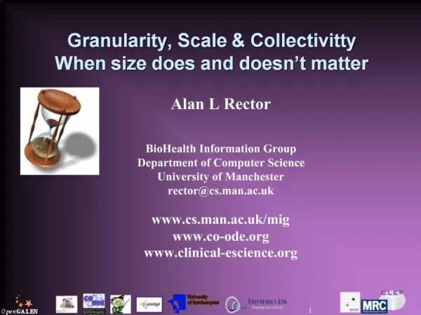 Granularity, Scale Collectivitty When size does and doesn t matter