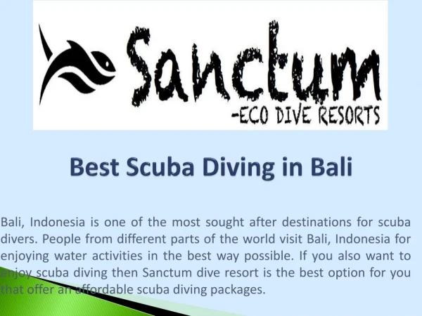 Best Scuba Diving in Bali, Indonesia