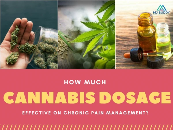 How much cannabis Dosage Effective on Chronic Pain Management