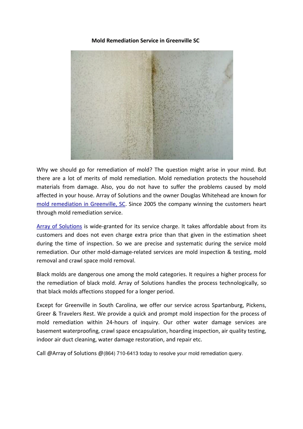 mold remediation service in greenville sc