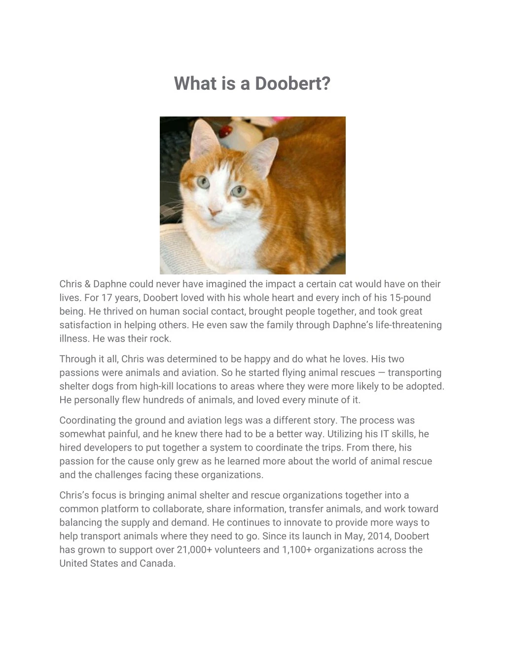 what is a doobert