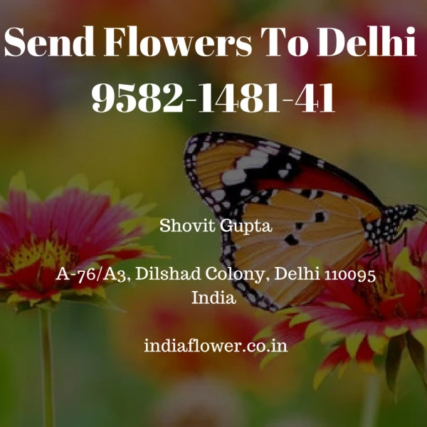 Send Flowers To Delhi | 9582-1481-41