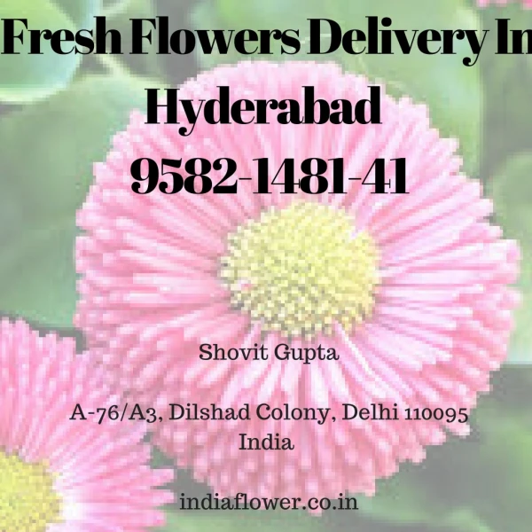 Fresh Flowers Delivery In Hyderabad | 9582-1481-41