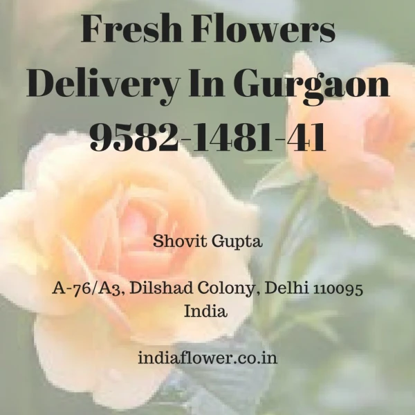 Fresh Flowers Delivery In Gurgaon | 9582-1481-41