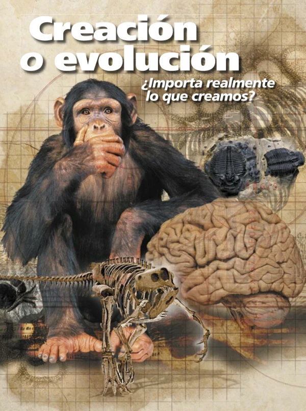 creacion o evolucion