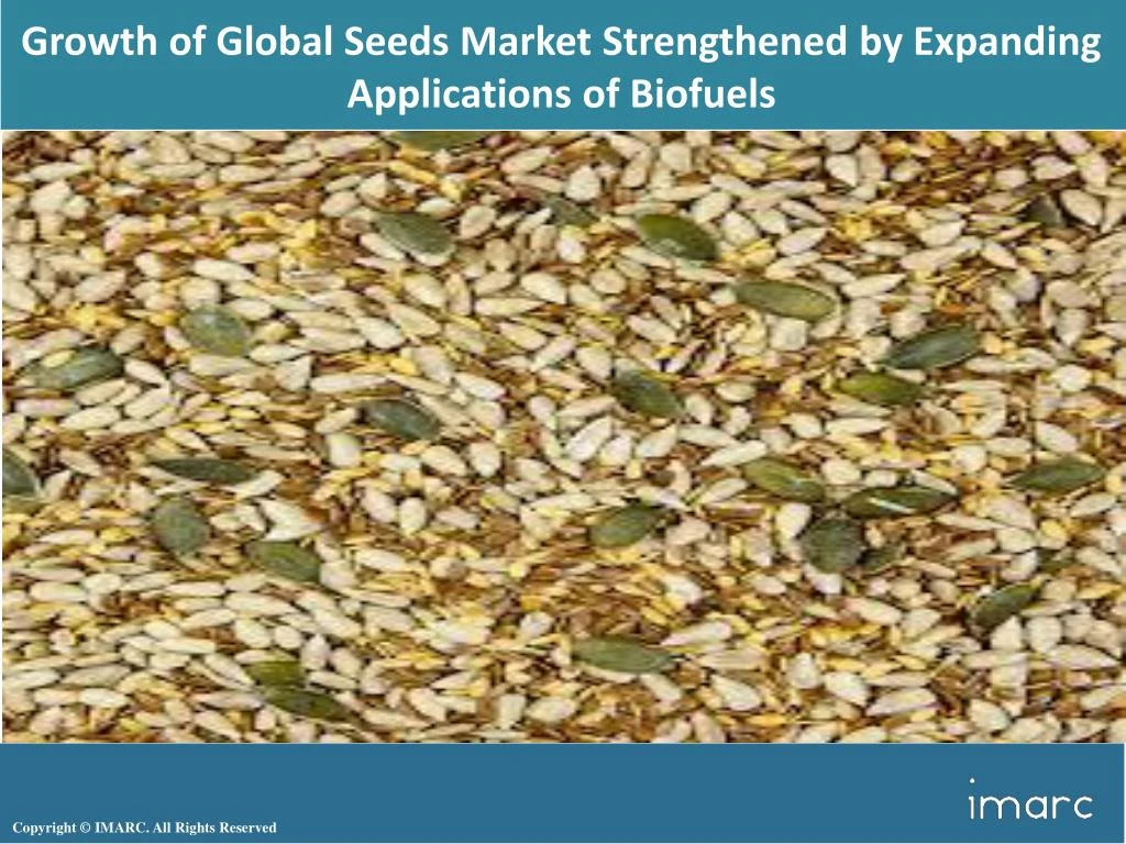 growth of global seeds market strengthened