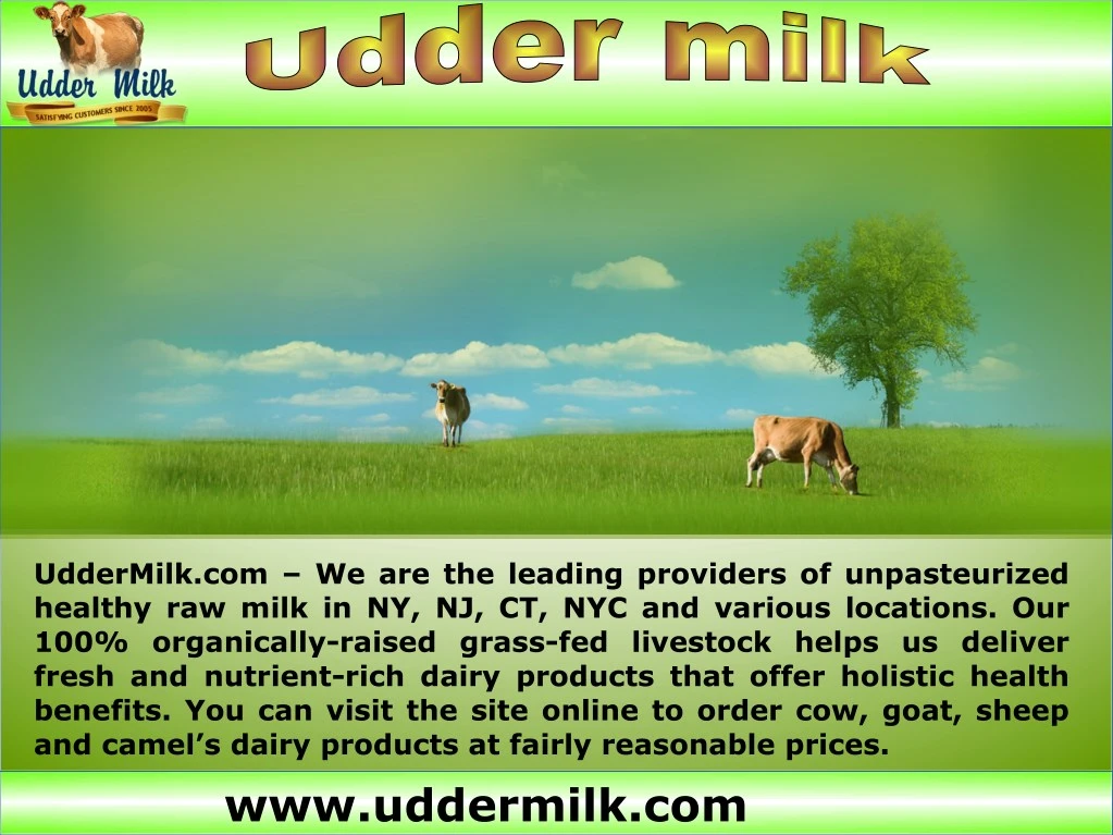 uddermilk com we are the leading providers