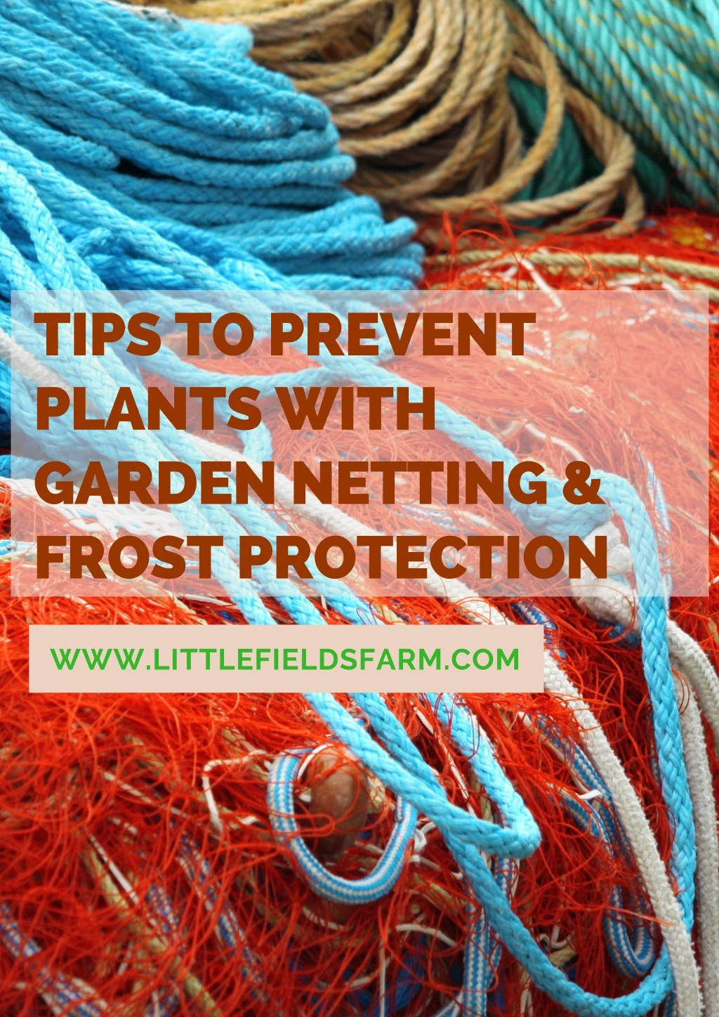 tips to prevent plants with garden netting frost