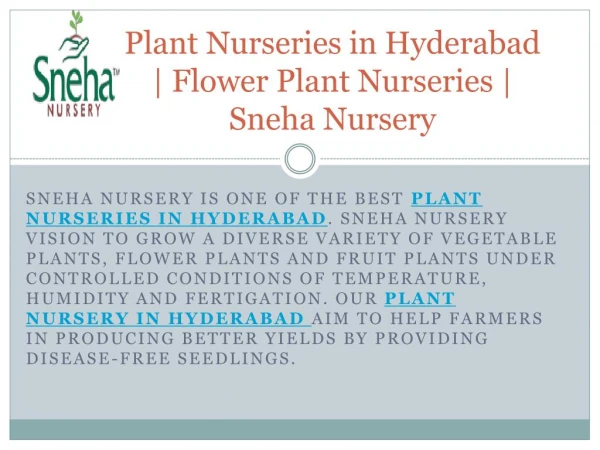 Plant Nurseries in Hyderabad | Flower Plant Nurseries | Sneha Nursery