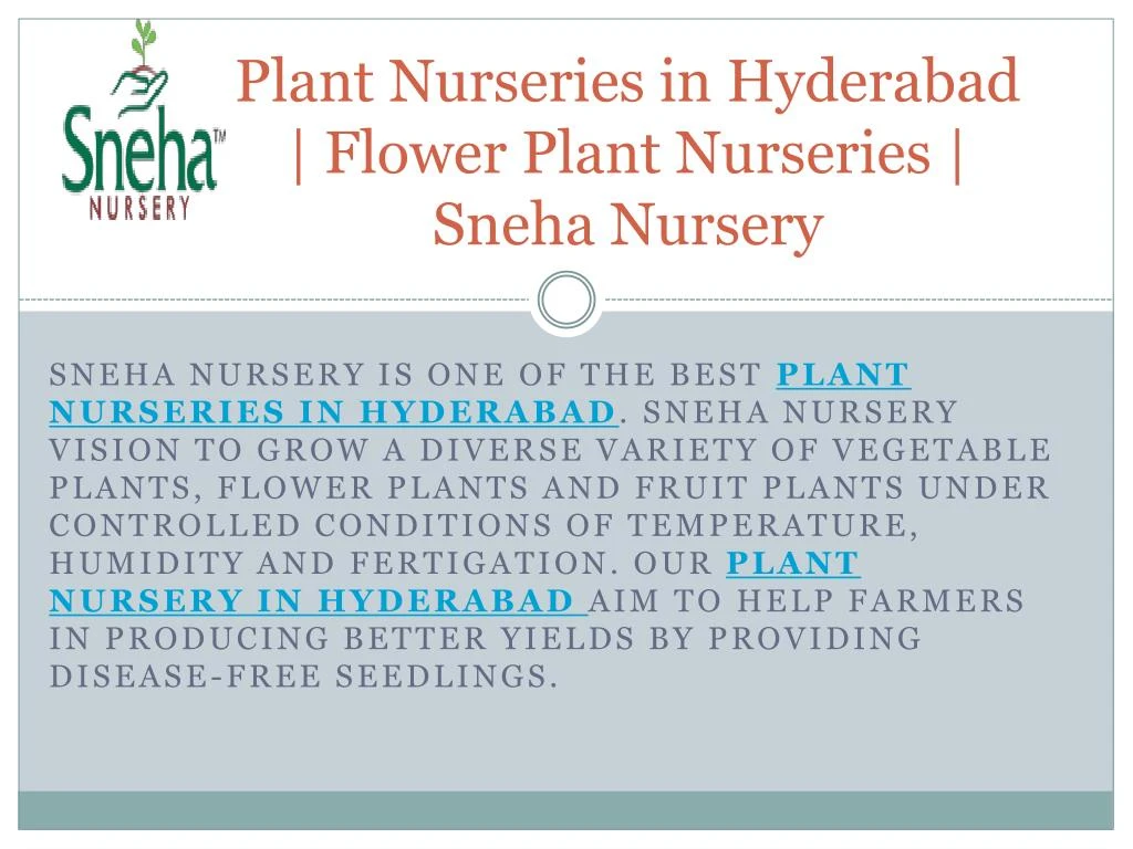 plant nurseries in hyderabad flower plant nurseries sneha nursery