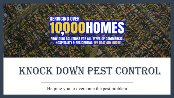 Preserve Your Home From The Unwanted Invaders with Knock-Down Pest Control