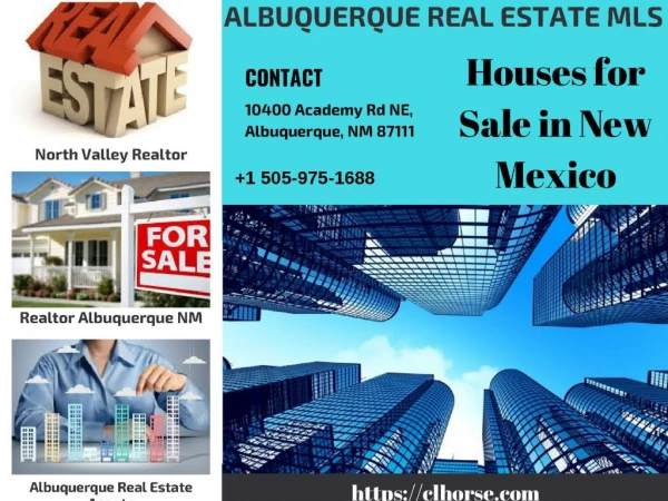 Albuquerque Real Estate Realtors