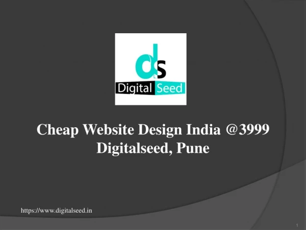 Low Cost Website Design Company | Digitalseed, Pune