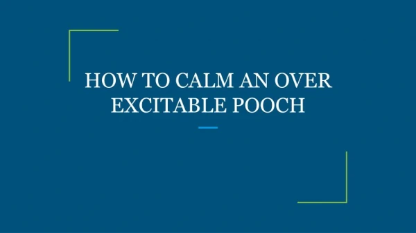 HOW TO CALM AN OVER EXCITABLE POOCH