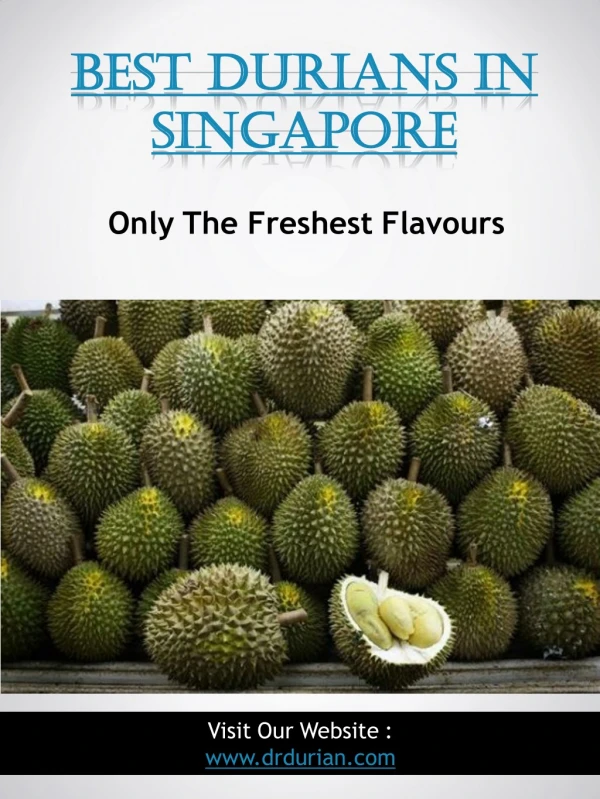 Best Durians In Singapore