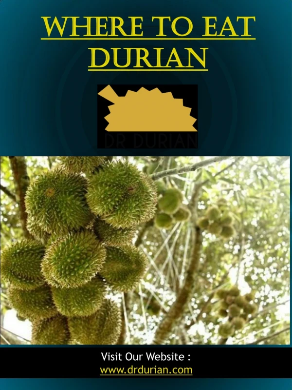 Where To Eat Durian