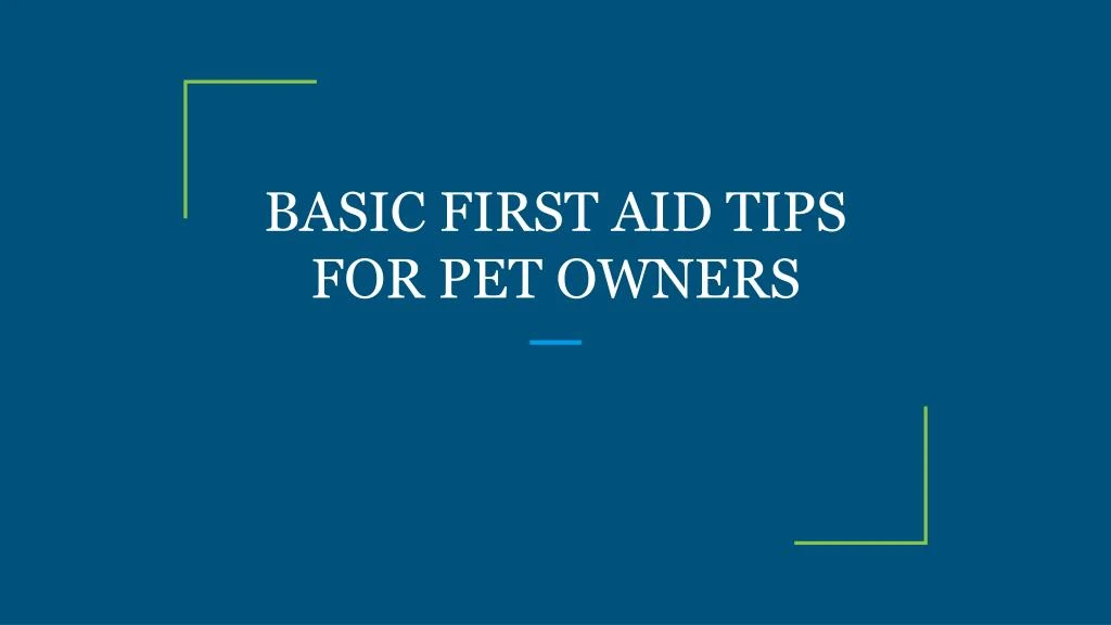 basic first aid tips for pet owners