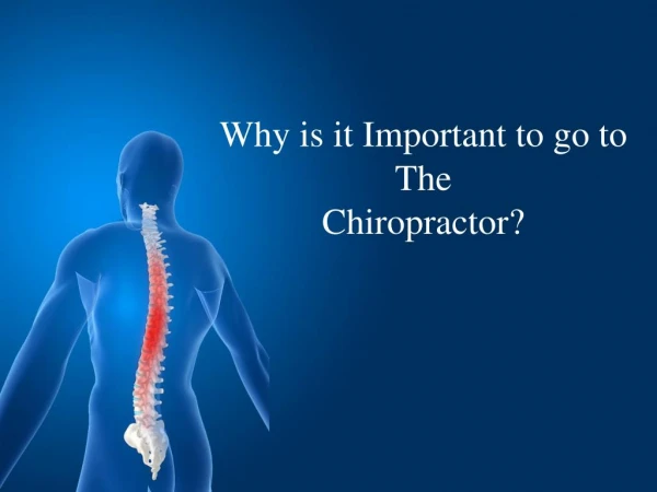 Why is it Important to go to The Chiropractor? - Stapleton Chiropractic Adelaide
