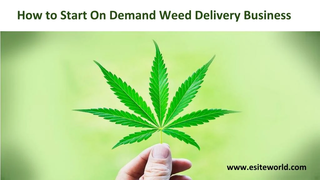 how to start on demand weed delivery business