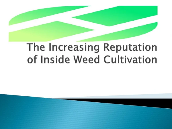 The Increasing Reputation of Inside Weed Cultivation