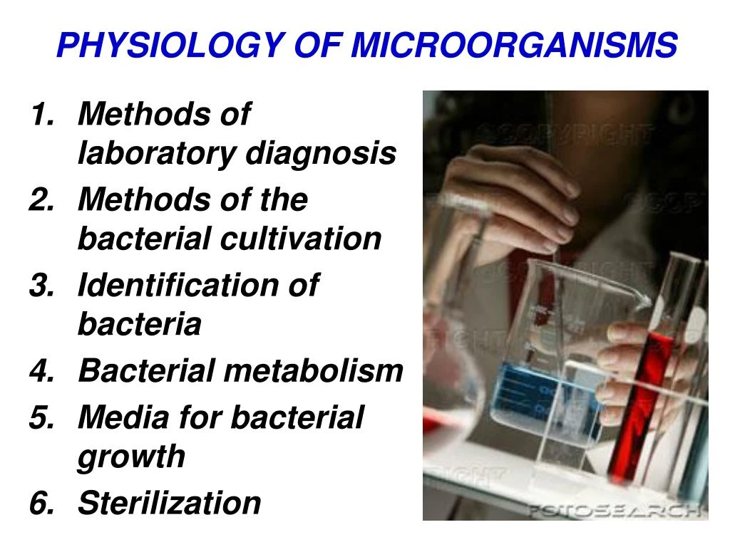 physiology of microorganisms