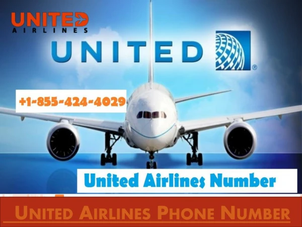 How to Contact United Airlines Phone Number