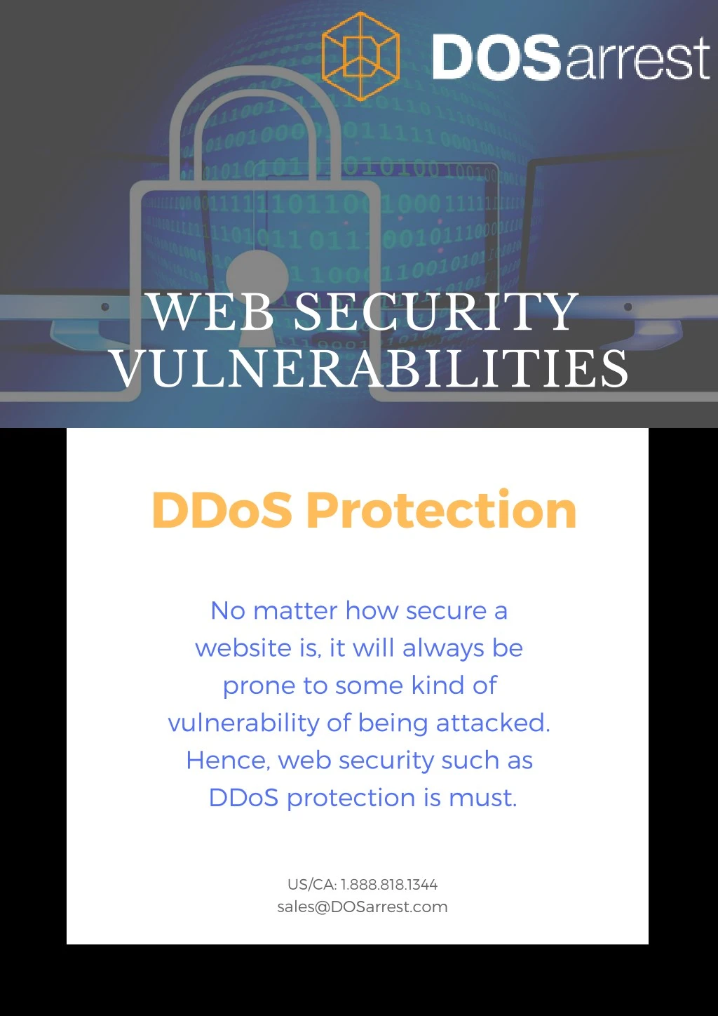 web security vulnerabilities