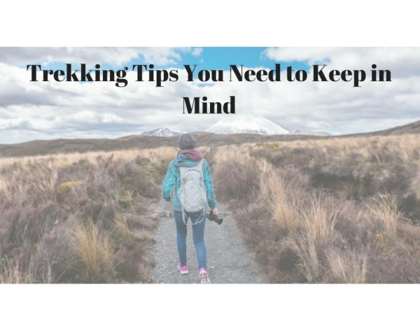 Trekking Tips You Need to Keep in Mind Frank Dilullo