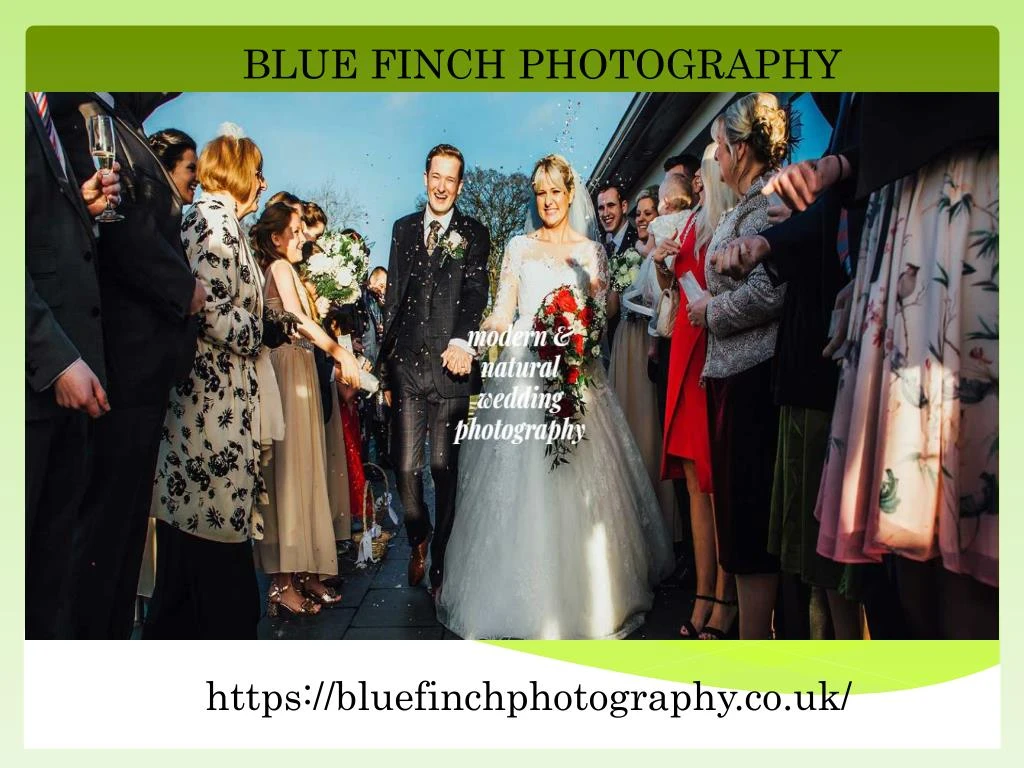 blue finch photography