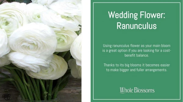 Buy best ranunculus wedding flower at wholesale