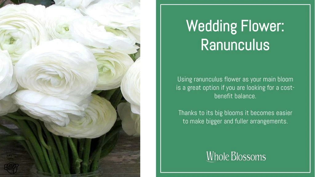 wedding flower ranunculus