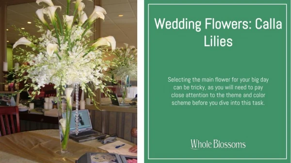 Wedding Flowers: Use Calla Lilies for Your Special Ceremonies