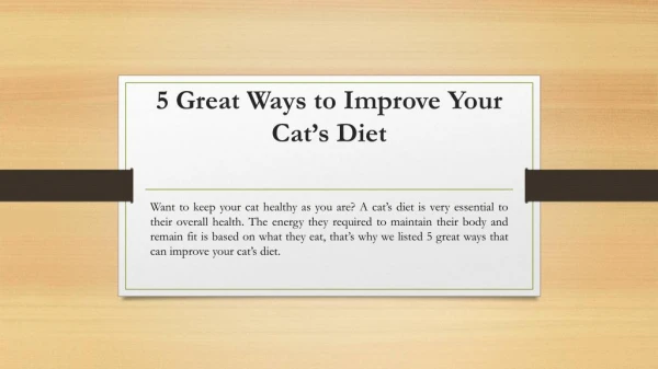 5 Great Ways to Improve Your Cat’s Diet