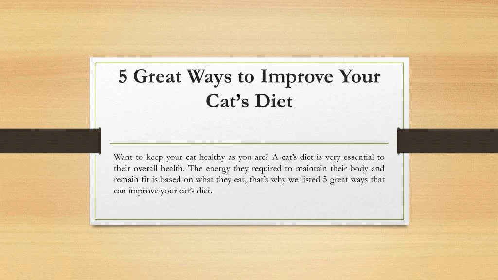 5 great ways to improve your cat s diet