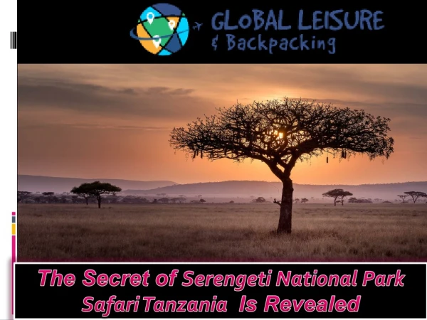The Secret of Serengeti National Park Safari Tanzania Is Revealed