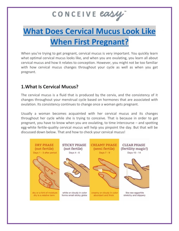 What Does Cervical Mucus Look Like When First Pregnant