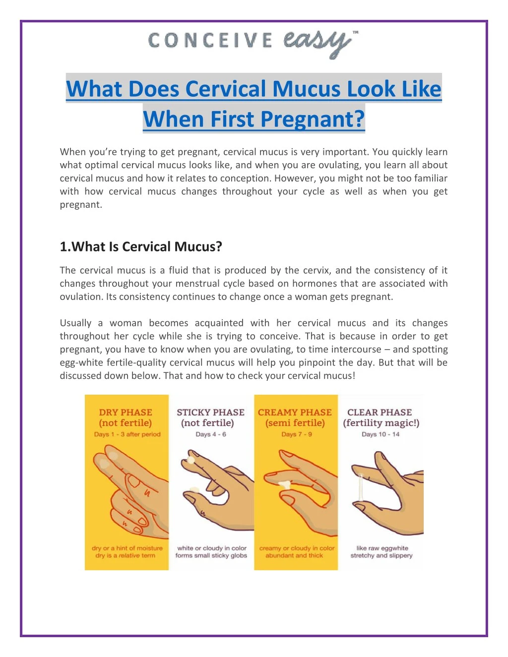 what does cervical mucus look like when first