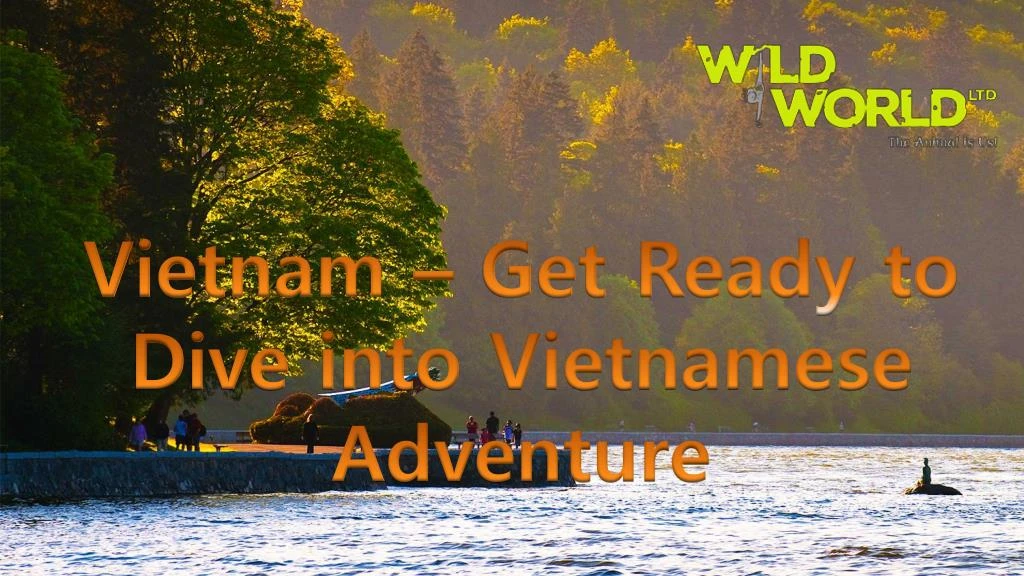 vietnam get ready to dive into vietnamese