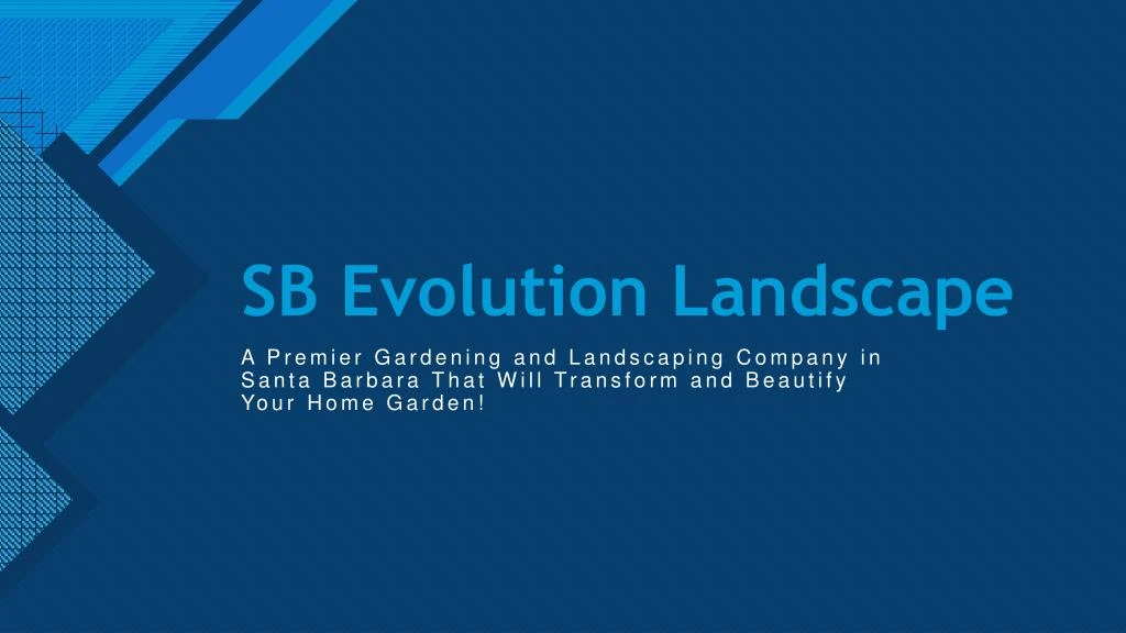 sb evolution landscape
