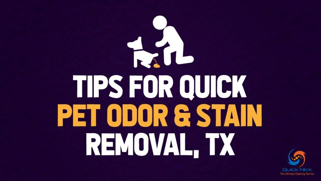 tips for quick pet odor stain removal tx