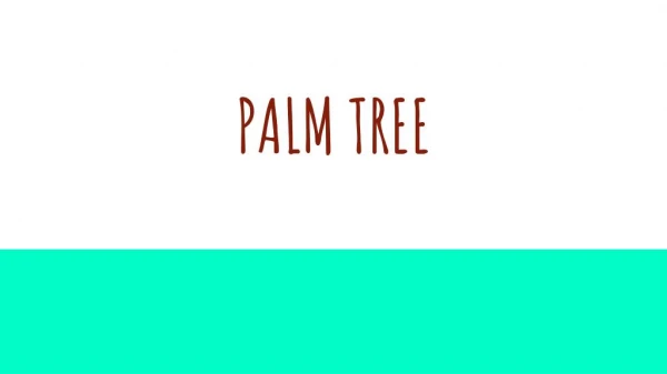 Palm Tree Products