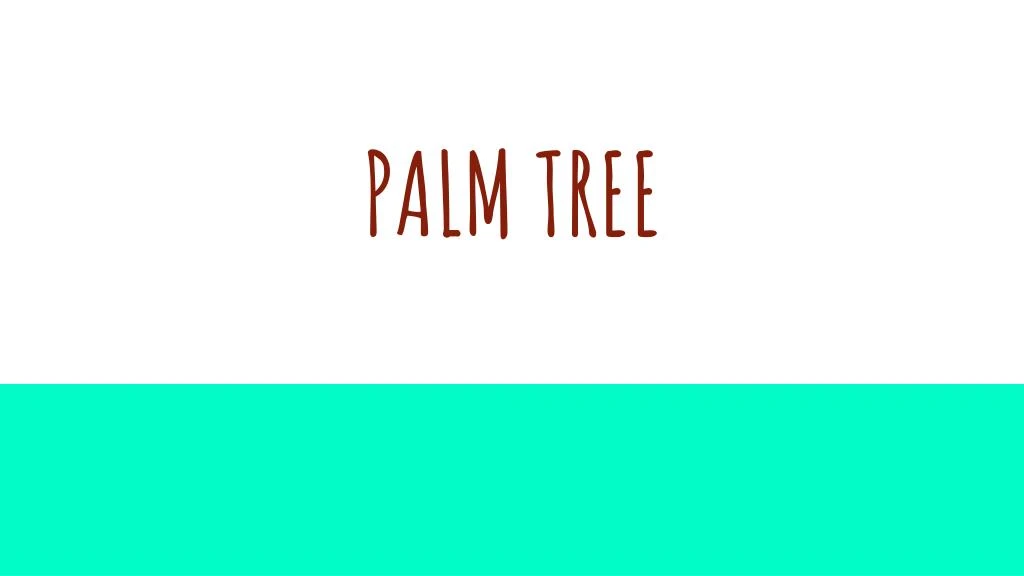 palm tree