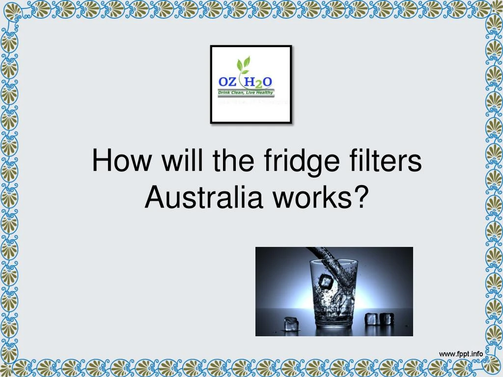 how will the fridge filters australia works
