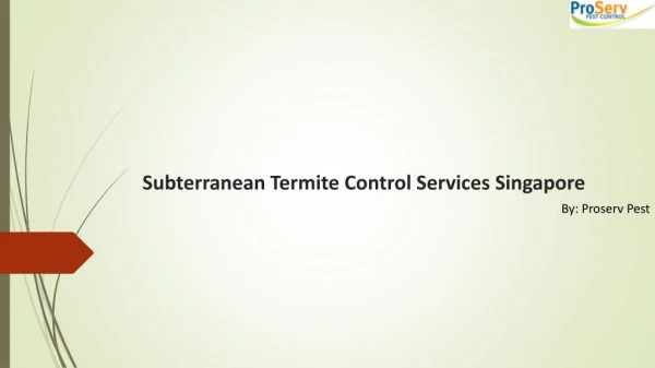 Searching for Subterranean Termite Control Services in Singapore